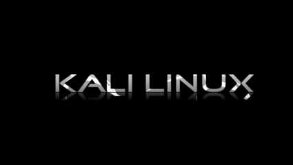 Kali Linux 1.07   /  x64