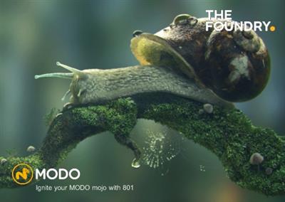 The Foundry MODO 801 (64bit) with Assets & Samples by vandit