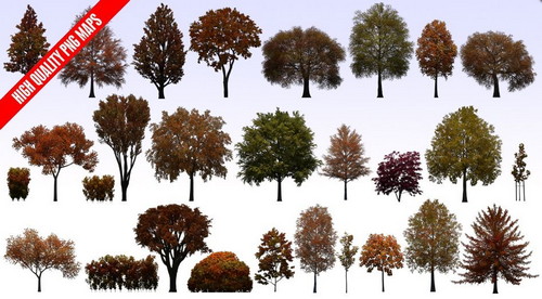 Evermotion - Textures4Ever Vol.09: Fall and Winter Trees