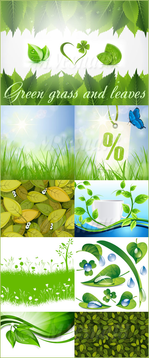    ,   / Green grass and leaves, images stock vector