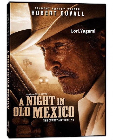 A Night in Old Mexico (2013) HDRip XviD AC3-EVO