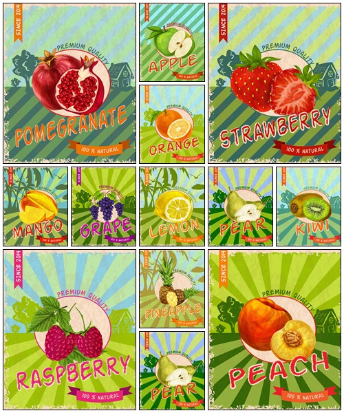 Fresh fruit on vintage backgrounds - vector stock