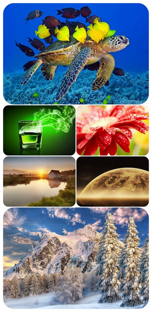 Beautiful Mixed Wallpapers Pack 247