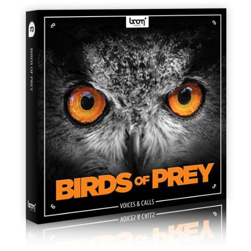 Boom Library Birds of Prey WAV-/AUDIOSTRiKE