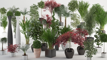 [3DMax] VIZPARK Interior Plants for 3ds Max