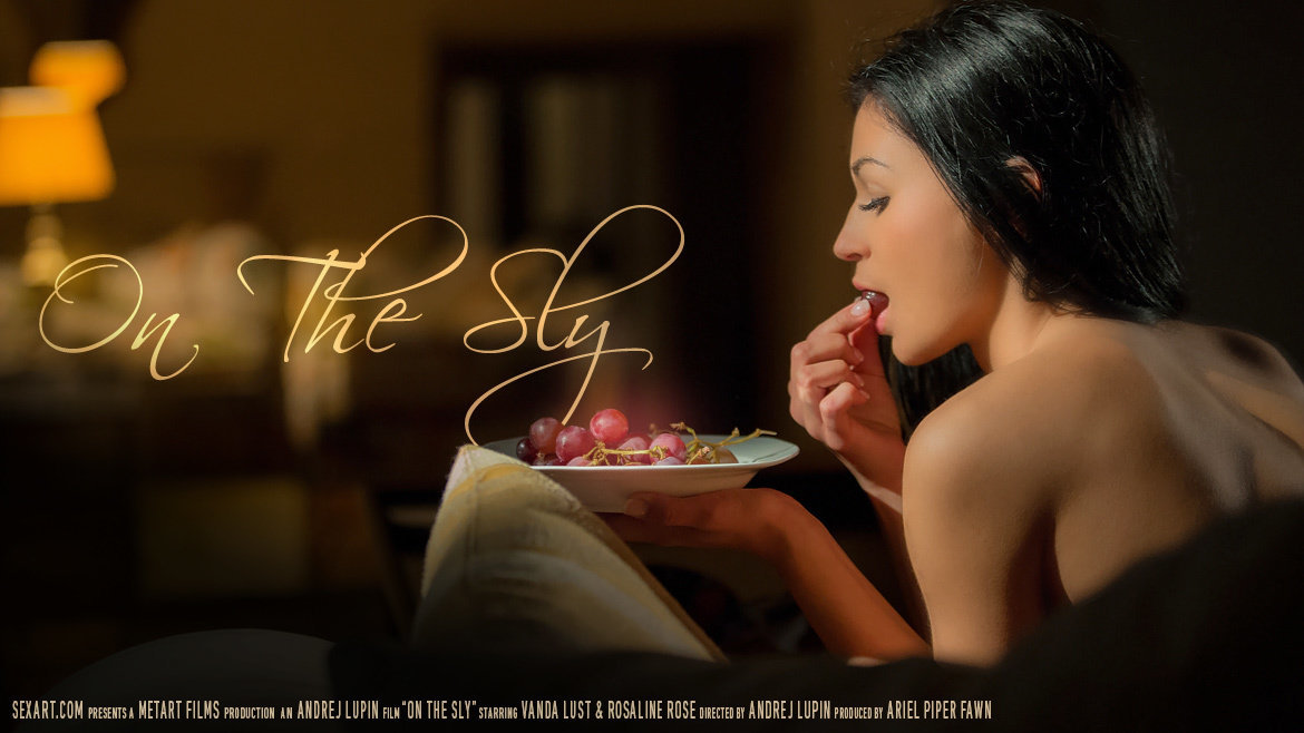 [SexArt.com / Met-Art.com] 2014-06-27 - Rosaline Rosa & Vanda Lust - On The Sly [Lesbo, 1080p]