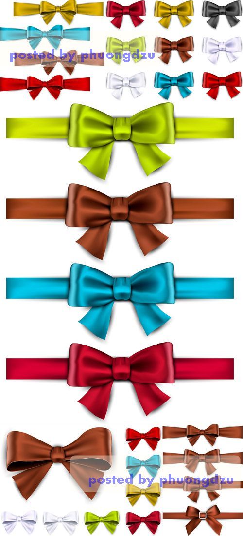 Bow-Knot Vector part 3