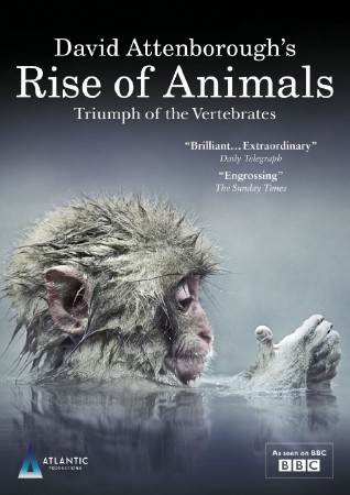 BBC.       (1-2   2) / Rise of Animals: Triumph of the Vertebrates (2013) HDRip