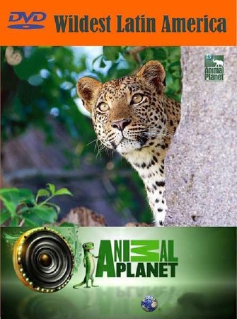 Discovery.     (5   5) / Discovery. Wildest Latin America (2012) HDTVRip