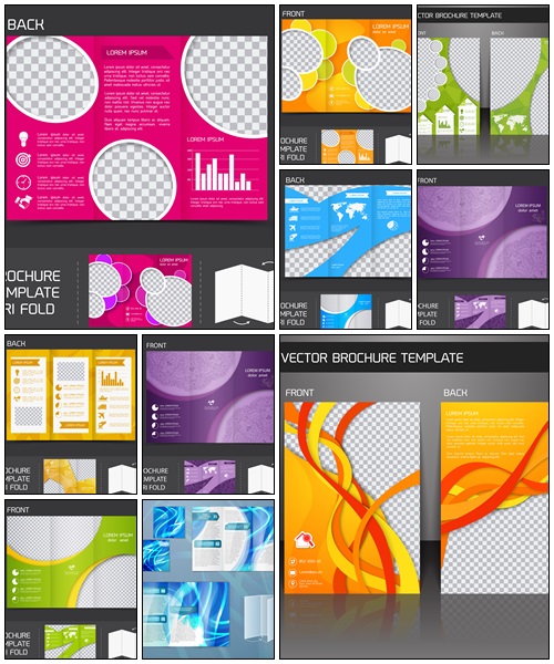 Brochure template tri fold - vector stock