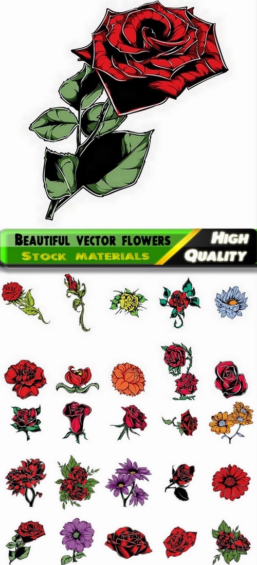 Beautiful vector flowers from stock - 25 Eps