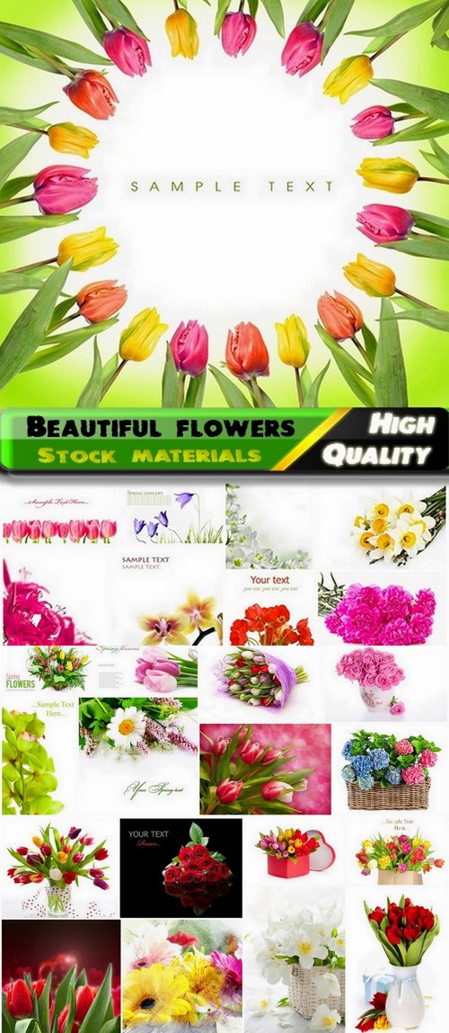 Different Beautiful flowers Stock images kit - 25 HQ Jpg