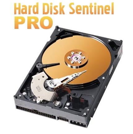 Hard Disk Sentinel Pro 4.50.9b Build 6845 Beta Rus
