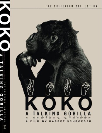 ,   / Koko A Talking Gorilla / Koko, le gorille qui parle (1978) DVD9 