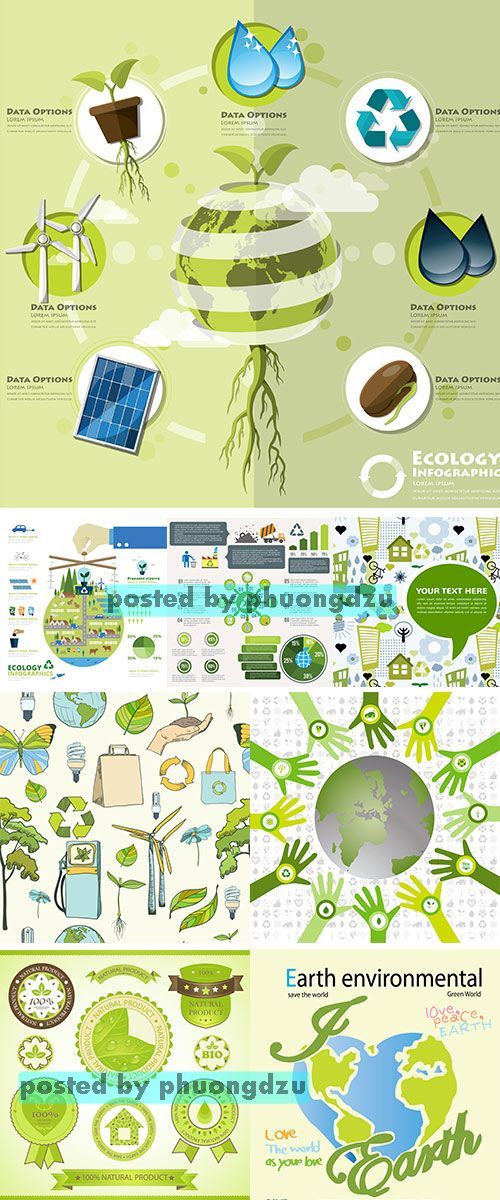 Stock: Ecology And Environment Infographic Element 5