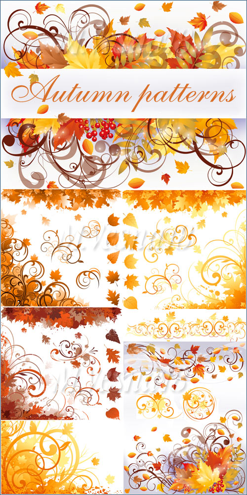  ,   / Autumn patterns vector clipart