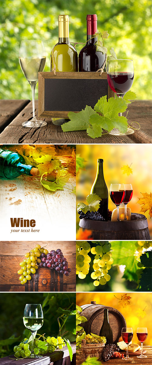 Wine still-life, glass, young vine and bunch of grapes, Stock images
