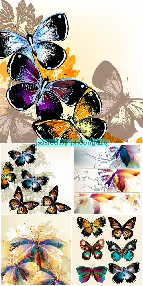 Butterflies, backgrounds and banners vector 2