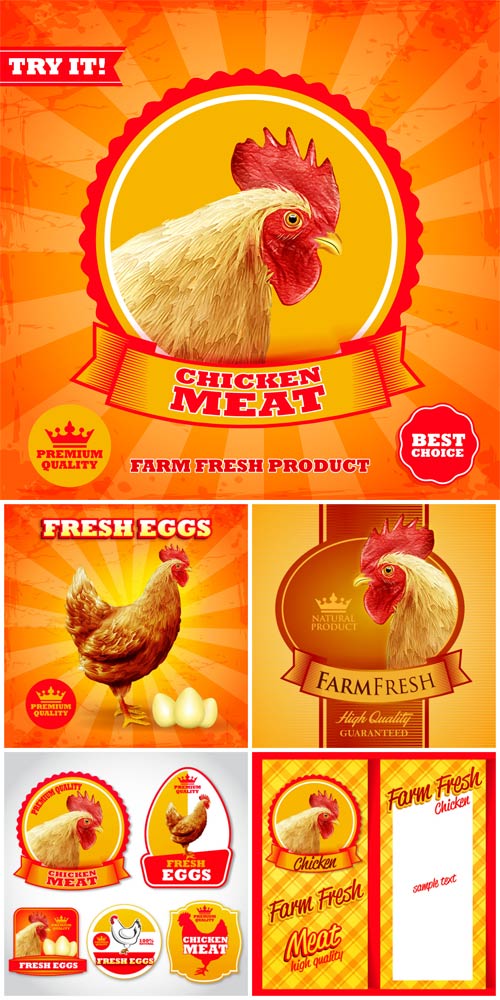 Вектороные этикетки и фоны с курицой / Vector labels and backgrounds with chicken