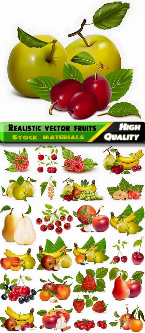 Realistic vector fruits from stock - 25 Eps