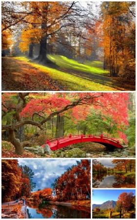 Новые высококачественные Осенные пейзажи