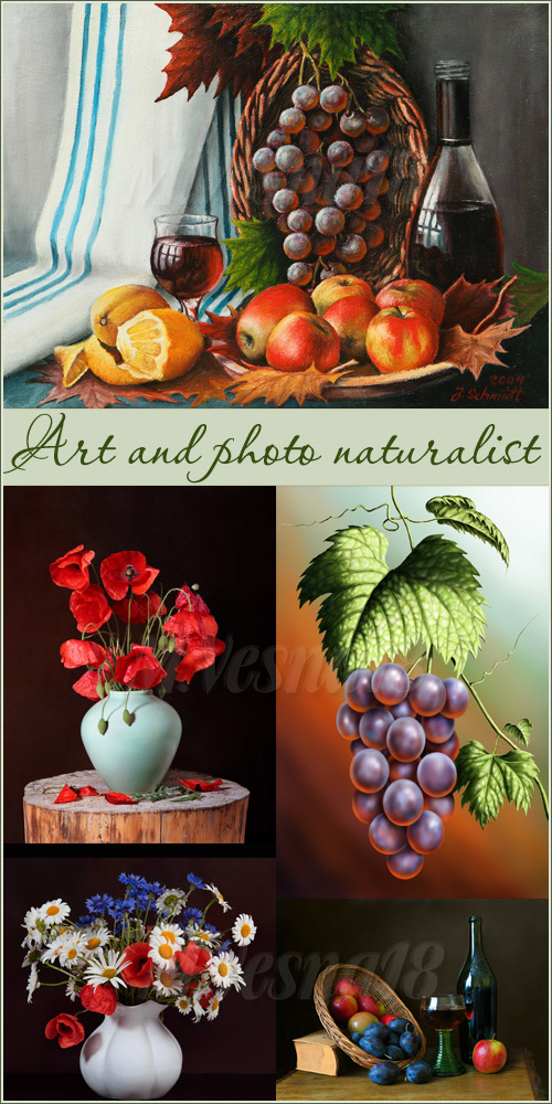     ,   / Still life in painting and photo, stock images 