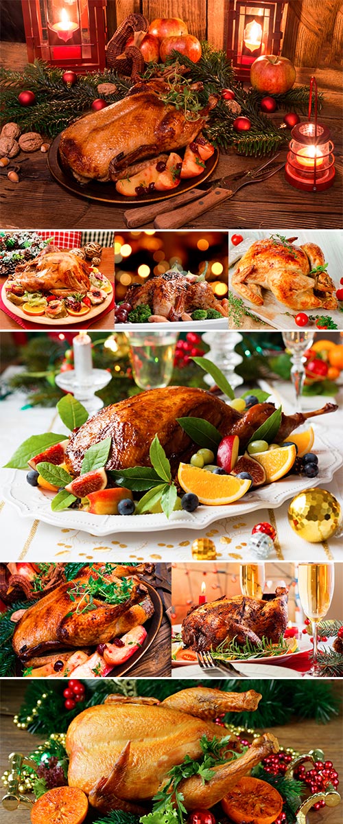 Stock Photo Christmas turkey