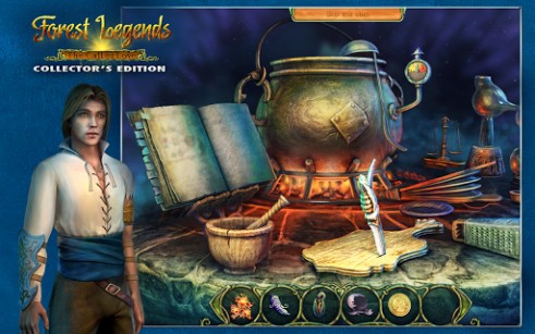 Screenshots of the game Forest legends: The call of love collector's edition   , .
