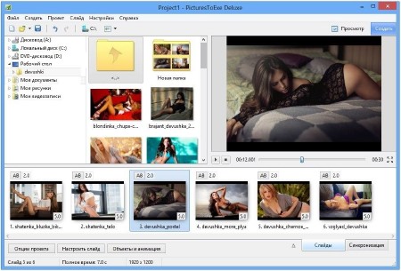 PicturesToExe Deluxe 9.0.3 ML/RUS