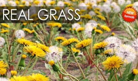 VIZPARK Real Grass for Cinema4D, Modo OBJ, FBX & LightWave
