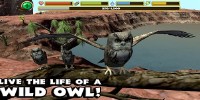 Owl Simulator v1 APK