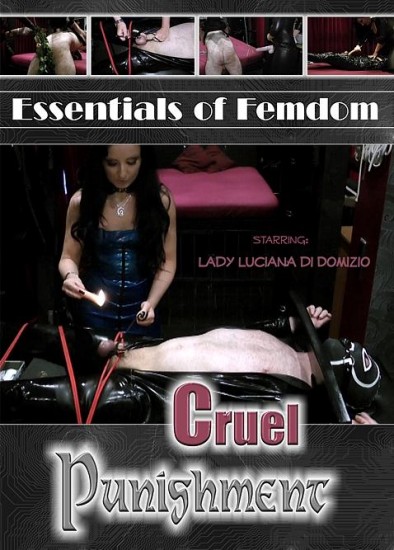 Cruel Punishment (2013/DVDRip)