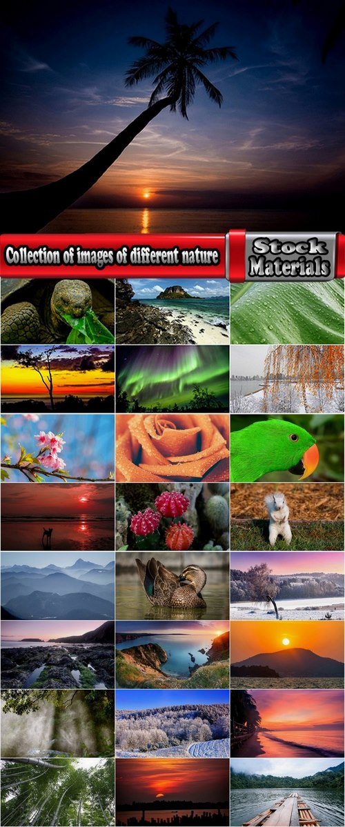 Collection of images of different nature 25 HQ Jpeg
