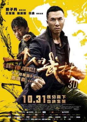 Последний из лучших  / Kung Fu Jungle / Yat ku chan dik mou lam  (2014) HDRip