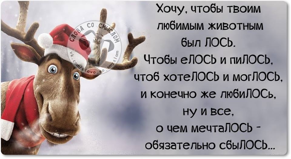 http://i63.fastpic.ru/big/2015/0108/b8/4e24b5982ea9226badb32c402f551ab8.jpg