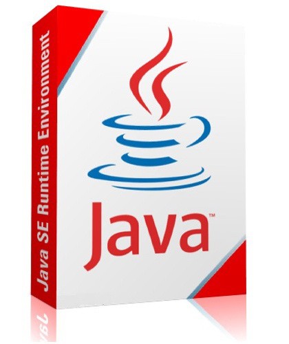 Java SE Runtime Environment 8.0 Update 31