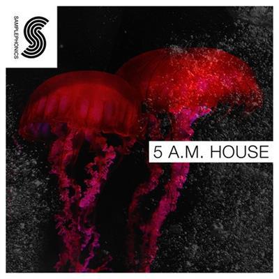 Samplephonics Luka 5 Am House | MULTiFORMAT 170305