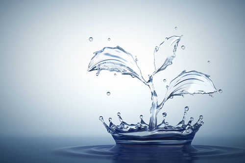 Water splash in form of plant - Creativemarket 127313
