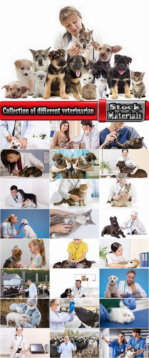 Collection of different veterinarian 25 HQ Jpeg