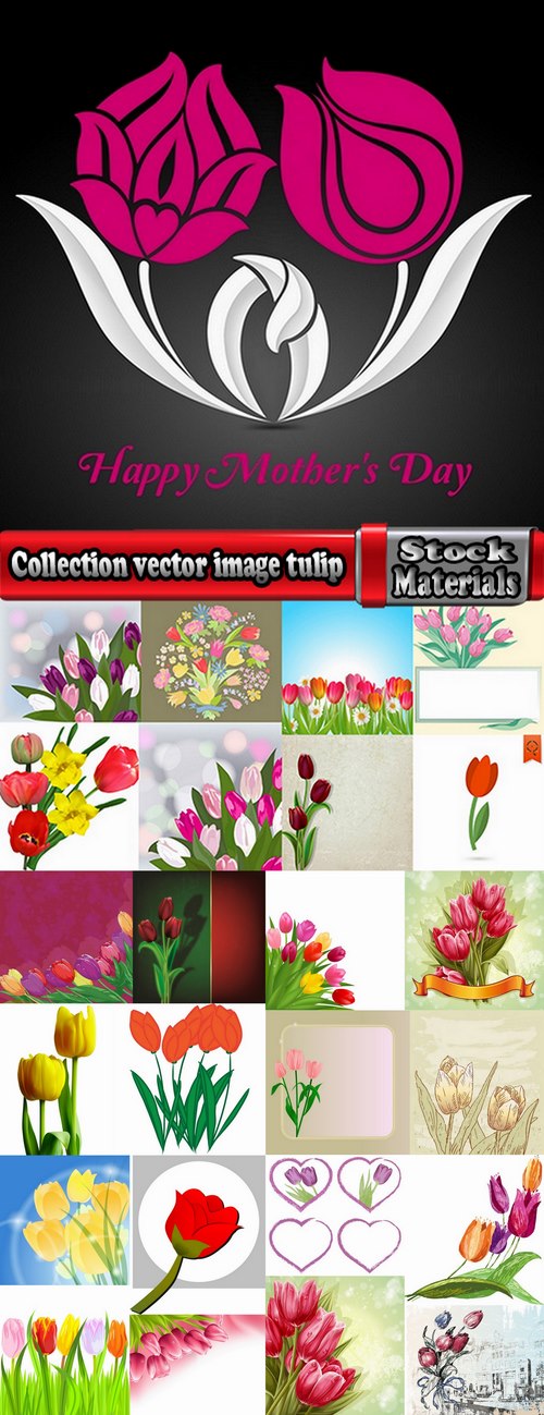 Collection vector image tulip 25 Eps