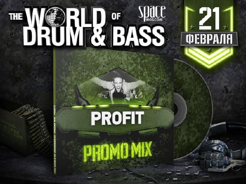 Profit - World of Drum&Bass (Official Promo Mix) (2015)