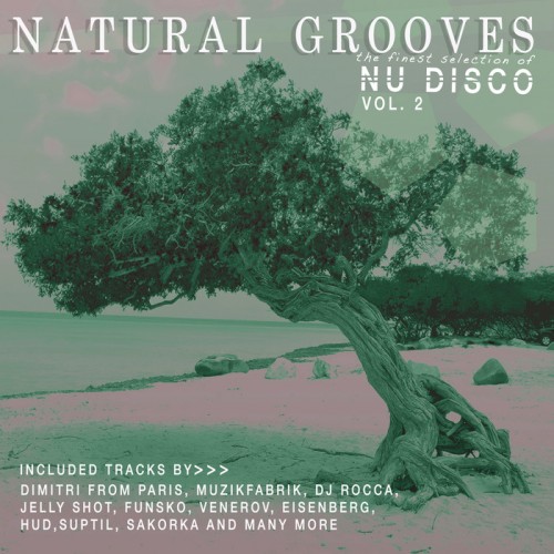 VA - Natural Grooves Fines Selection Of Nu Disco, Vol. 2 (2015)