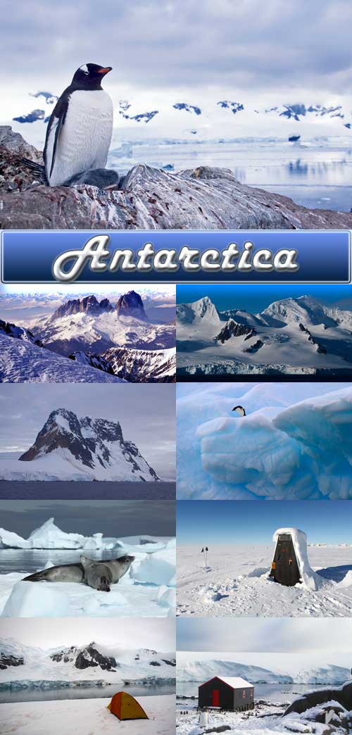 Anctarctica - Stock Photos