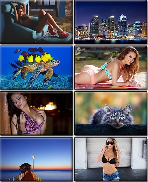 LIFEstyle News MiXture Images. Wallpapers Part (1014)