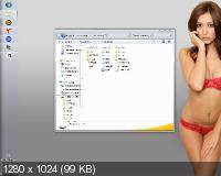 Windows XP/7/8 FLASH 2.0 2.0 DS (x86/x64/2014/RUS)