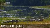 Дикий Нил / National Geographic: Wild Nile [Серии: 1-3 из 3](2014) HDTV 1080p от HDReactor
