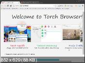 Torch Browser 36.0.0.8455 -  