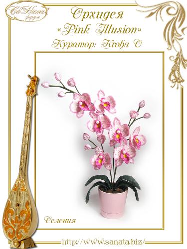 Выпуск работ Факультета: Орхидея "Pink Illusion" Ac2b105739421dc0309d69bf7103b671
