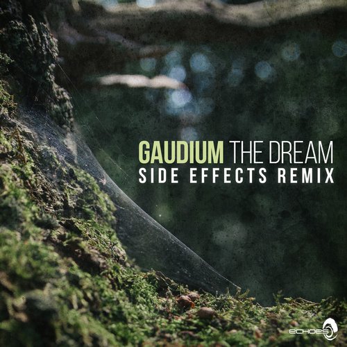 Gaudium - The Dream (Side Effects Remix) (2014)