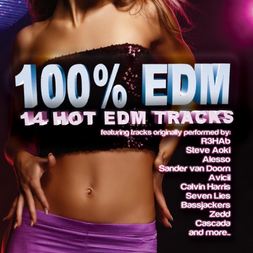 VA - 100% EDM (14 Hot EDM Tracks) (2014)